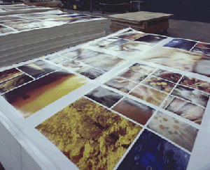 Offset and digital printing - your full service